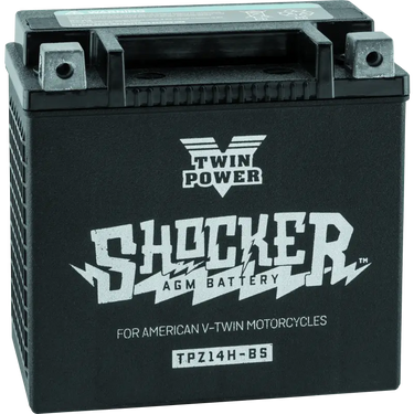 Twin Power Shocker Batteries